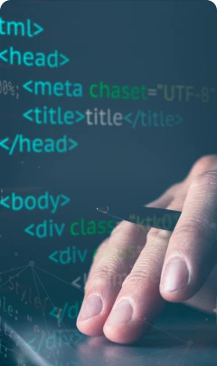 job-flutter developer